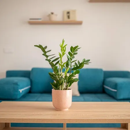 Roze Blue Design Διαμέρισμα *
