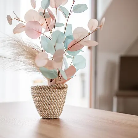 Roze Blue Design שצ'ופק